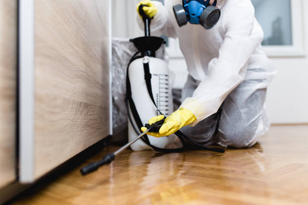 Best Mosquito Control Services  in Seville, FL