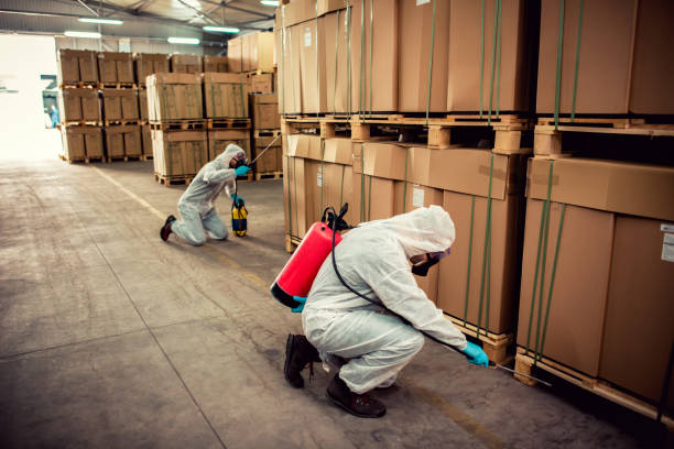 Best Wasp Removal Services  in Seville, FL