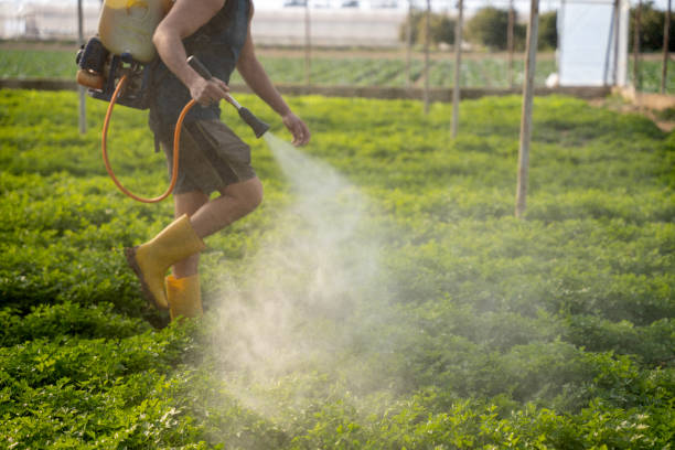Best Commercial Pest Control Services  in Seville, FL
